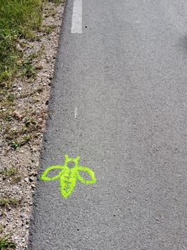 Čebelarji ČD Kotlje urejali in označili čebelarsko pot (4)
